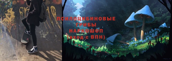 прущая мука Ельня