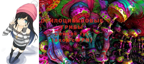 прущая мука Ельня