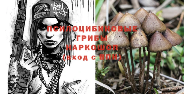a pvp Дмитровск