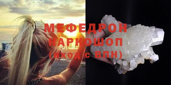 прущие грибы Дмитров