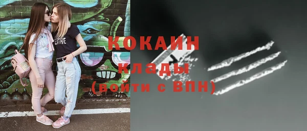 прущие грибы Дмитров