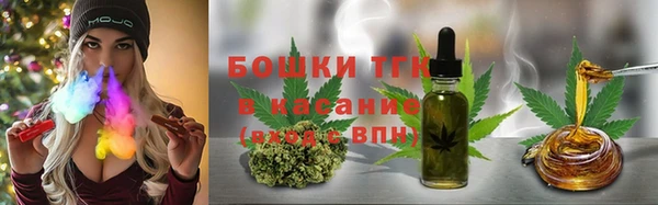 прущие грибы Дмитров