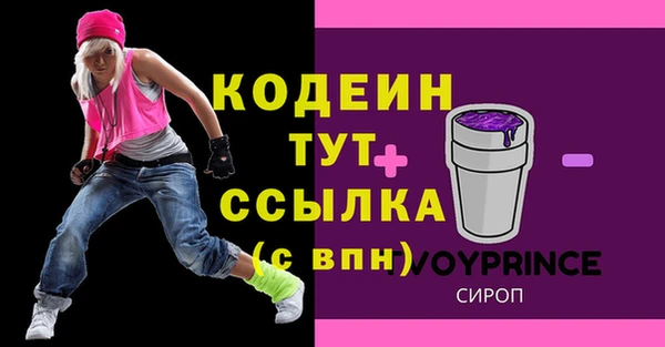 прущие грибы Дмитров