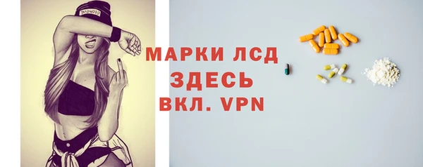 прущие грибы Дмитров