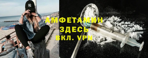 прущие грибы Дмитров