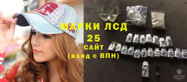 прущие грибы Дмитров