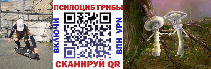 Псилоцибиновые грибы Cubensis Купить Кола
